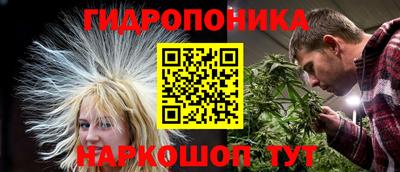 сатива Лесосибирск