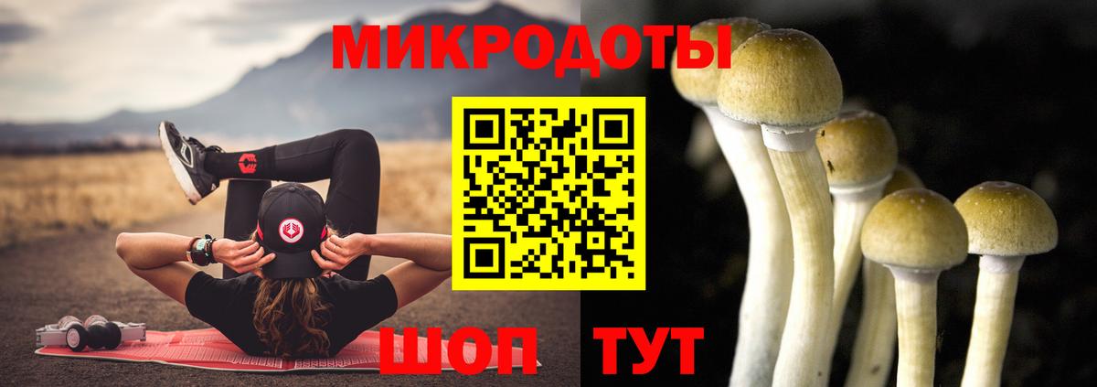 Галлюциногенные грибы прущие грибы Щёлково